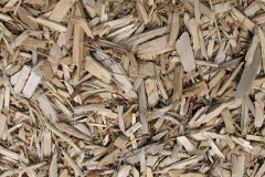 biomass boilers Llwynygog