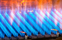 Llwynygog gas fired boilers